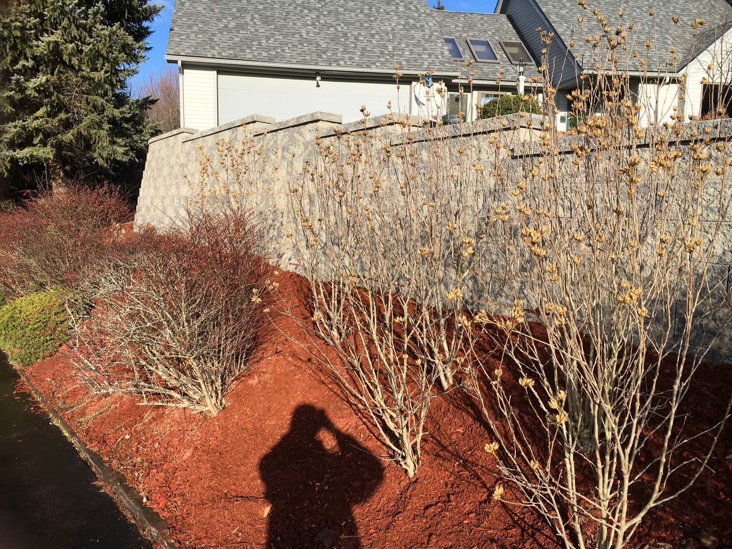 Masonry project